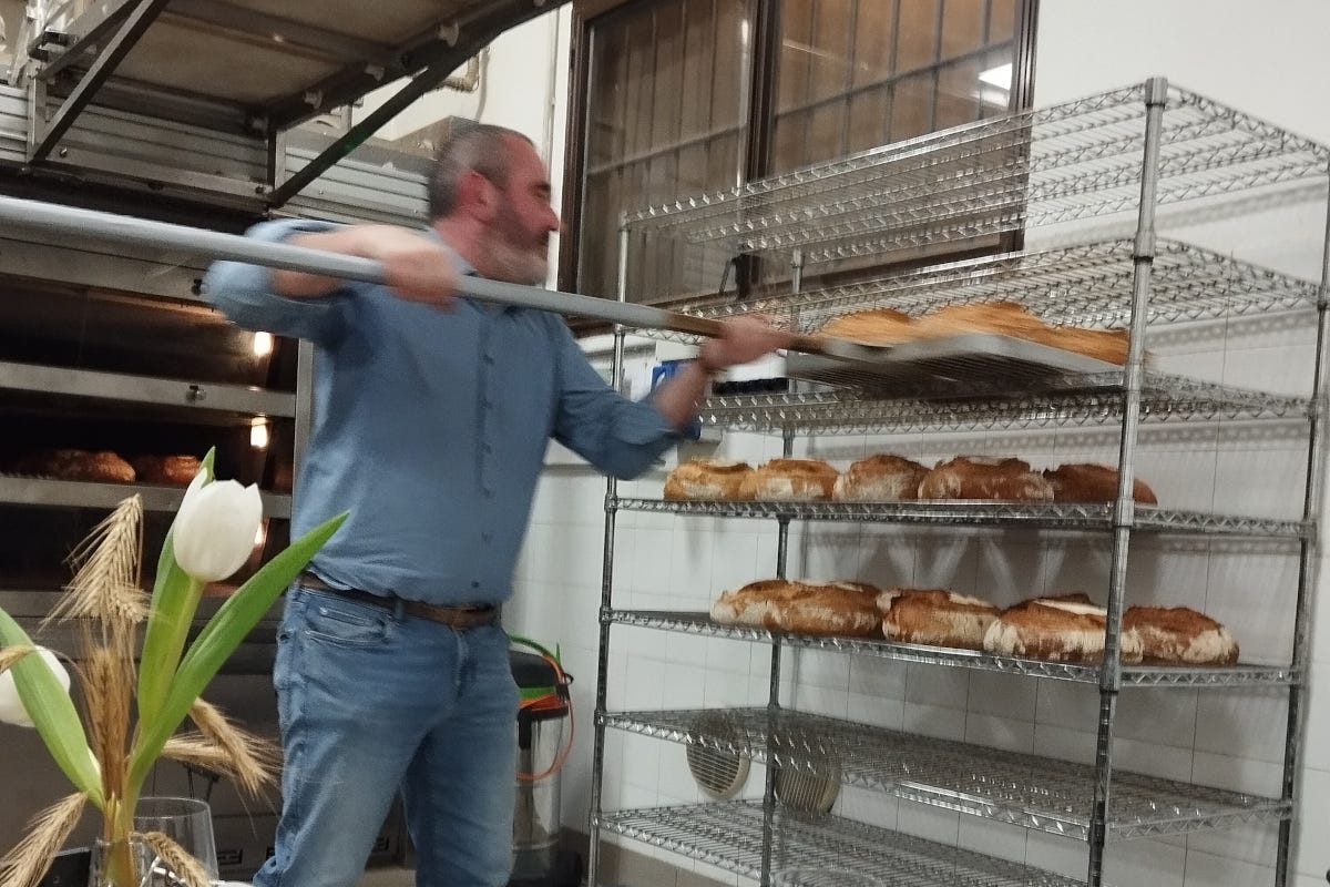 Come ridare valore al pane artigianale: la storia di Davide Longoni